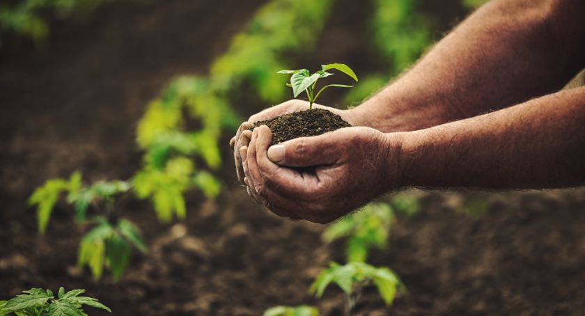 Standard Process Announces Rebrand with a Focus on Provider-Led Care, Whole Food Nutrition